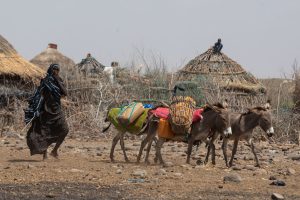 Horn of Africa drought worse than 2011