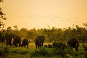 Landscape of climate finance in Africa