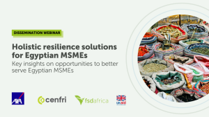 Holistic resilience solutions for Egyptian MSMEs